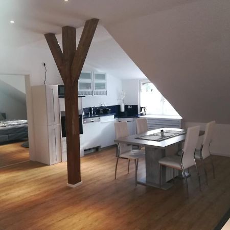 Diti Apartment Lottstetten المظهر الخارجي الصورة