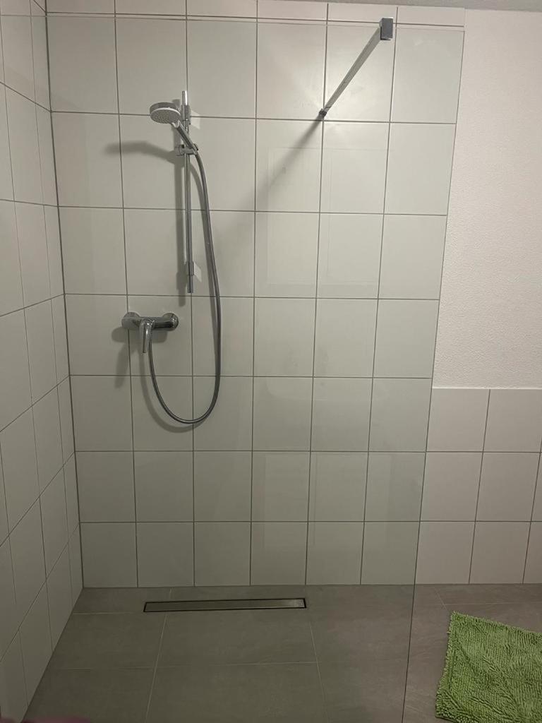 Diti Apartment Lottstetten المظهر الخارجي الصورة